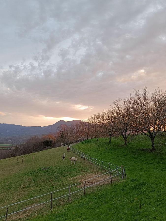 Le Perchoir Du Vercors - Panorama Sur Les Cimes Saint-Andre-en-Royans Экстерьер фото